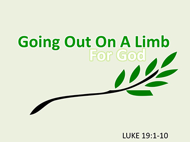 Luke-19-going-out-on-a-limb