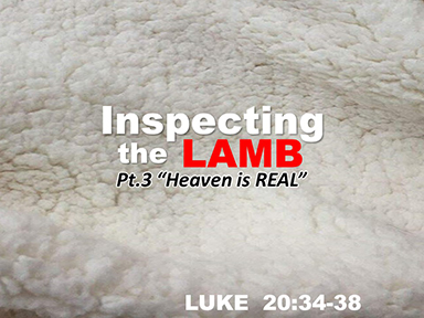 luke-20-inspecting-the-lamb-pt3